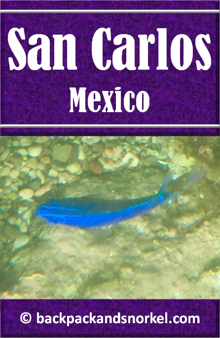 Backpack and Snorkel San Carlos, Mexico Travel Guide - San Carlos, Purple Travel Guide