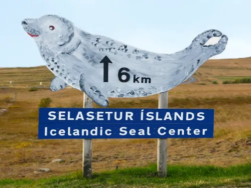 Seal-Center in Iceland