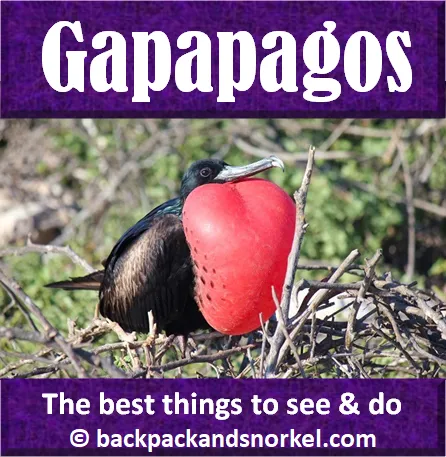Galapagos Islands Purple Travel Guide