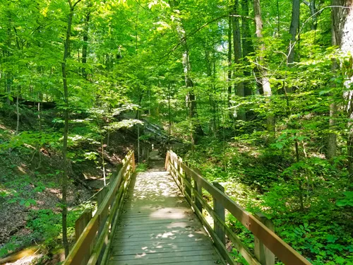 Bailly Chellberg Trail in Indiana Dunes National Park