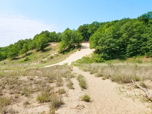 West Beach Trail in Indiana Dunes National Park