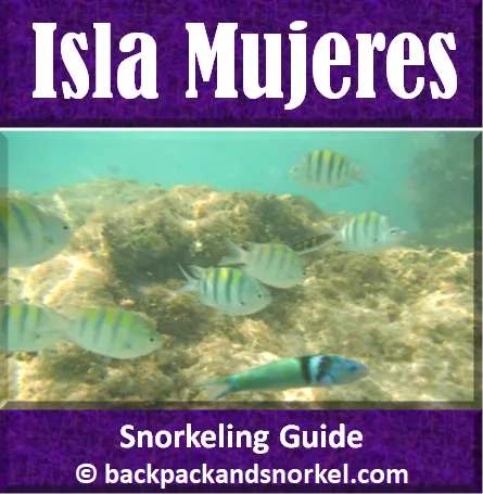 Best Isla Mujeres snorkeling
