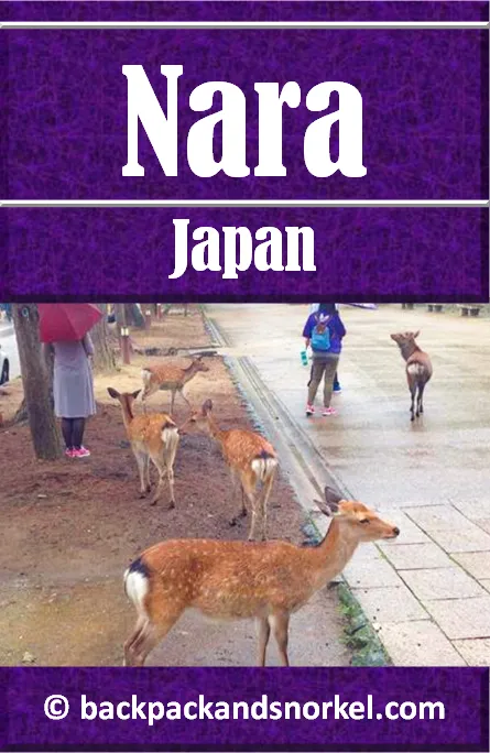 Backpack and Snorkel Nara Travel Guide - Japan Purple Travel Guide