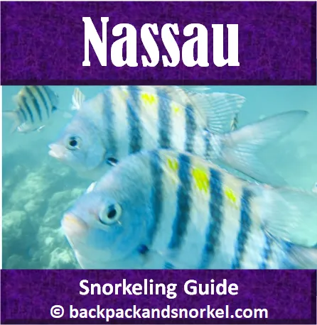 Best Nassau snorkeling