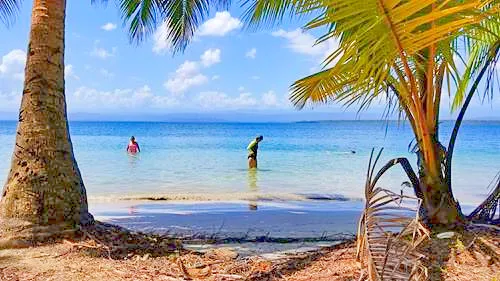 Starfish beach at Bocas del Toro in Panama