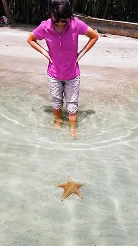 Starfish beach at Bocas del Toro in Panama