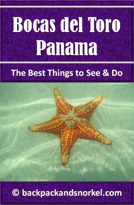Backpack and Snorkel Guide for Bocas del Toro - Bocas del Toro Purple Travel Guide