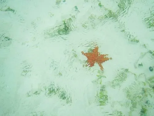 COMARCA GUNA YALA (SAN BLAS ISLANDS) in Panama