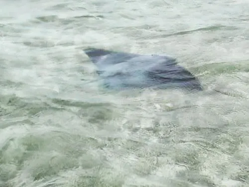 COMARCA GUNA YALA (SAN BLAS ISLANDS) in Panama