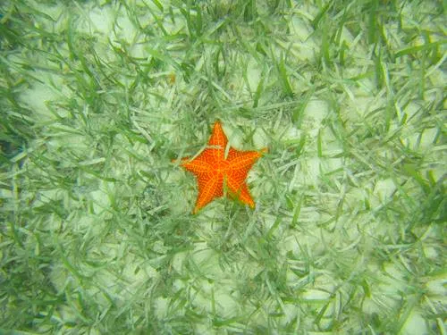 COMARCA GUNA YALA (SAN BLAS ISLANDS) in Panama