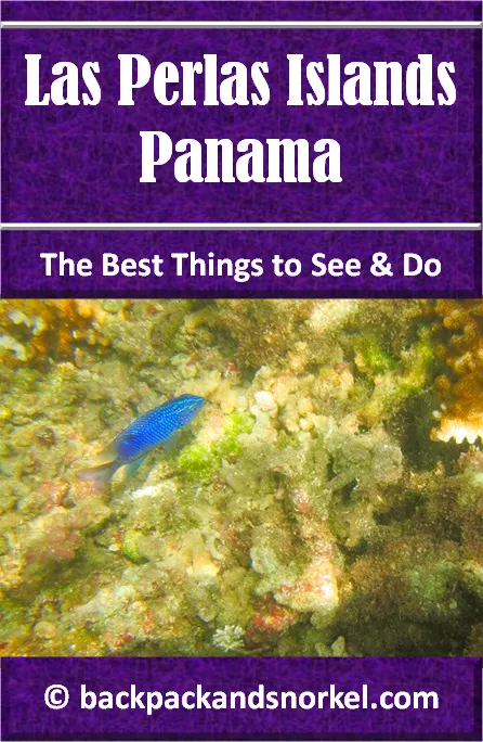 Backpack and Snorkel Guide for Las Perlas - Las Perlas Purple Guide