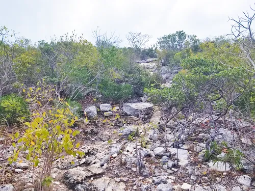 Trail up to Sapodilla Hill in Providenciales, Turks and Caicos Islands