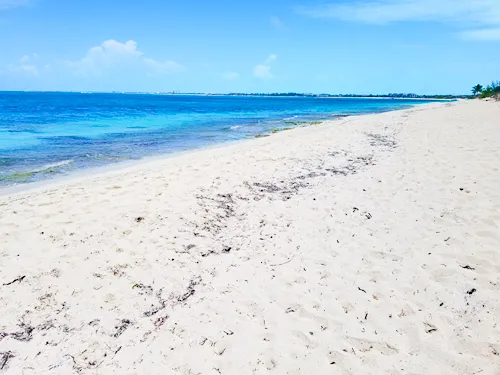 Smith's Reef Beach in Providenciales, Turks and Caicos Islands