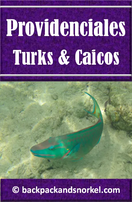 Backpack and Snorkel Providenciales, Turks and Caicos Islands Travel Guide - Providenciales Purple Guide