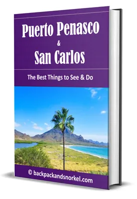 Puerto Penasco & San Carlos Purple Travel Guide