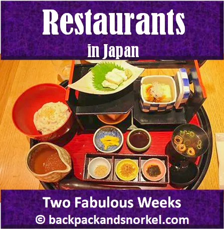 Backpack and Snorkel Purple Travel Guide of Japan