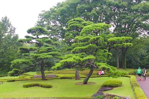 EAST GARDENS AND IMPERIAL PALACE in Tokyo