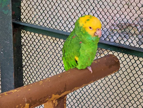 Aviary in Parque Lincoln in Mexico City