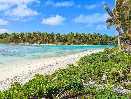 Beach near The Boat Shed in Aitutaki in the Cook Islands