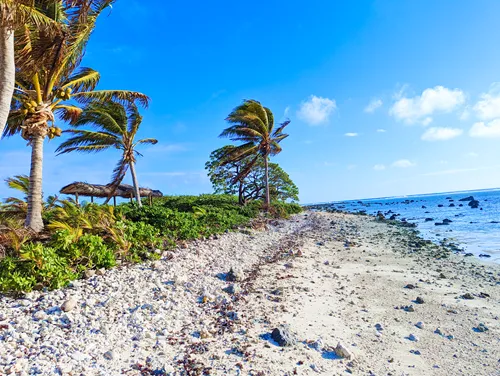 Beach near The Boat Shed in Aitutaki in the Cook Islands