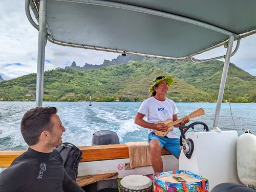 Island Tour in Moorea in French Polynesia