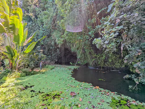 Maraa Grottos in Tahiti in French Polynesia