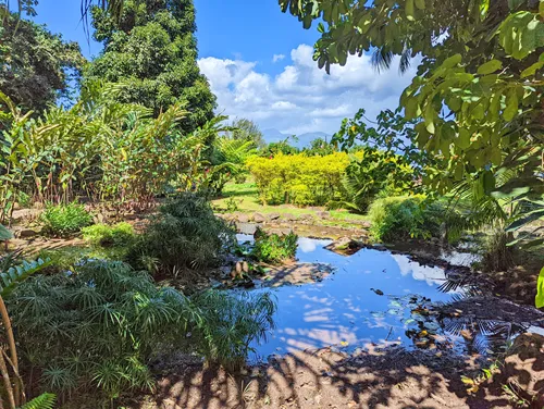 Vaipahi Gardens (Bain de Vaima) in Tahiti in French Polynesia