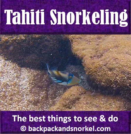 Best Tahiti, French Polynesia snorkeling