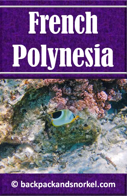 Backpack and Snorkel French Polynesia Travel Guide - French Polynesia Purple Travel Guide