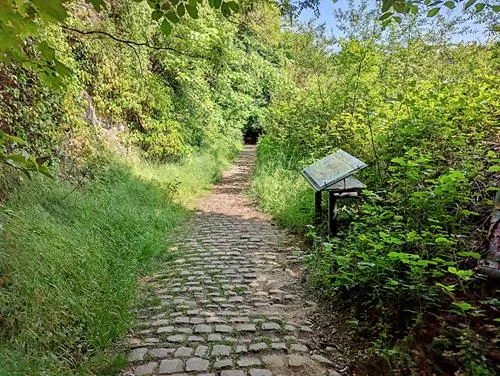 Hike to Fort Obergrünewald in Luxembourg City