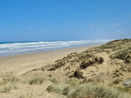 90 Mile Beach in New Zealand