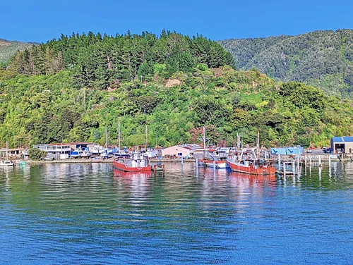 Ferry to Picton in New Zealand