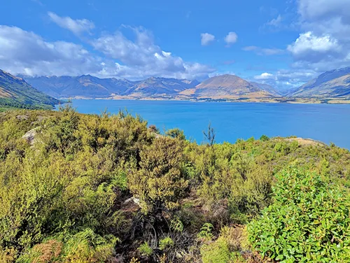 view from Bennetts Bluff Viewpoint Walking Track in New Zealand