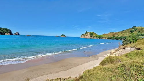 Hahei Beach in New Zealand