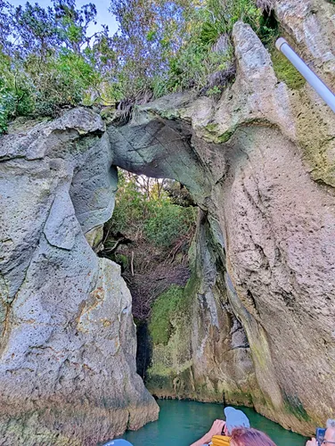 Shakespeare Cave at Cathedral Cove boat tour in New Zealand