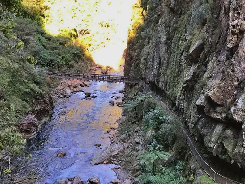 Karangahake Gorge in New Zealand