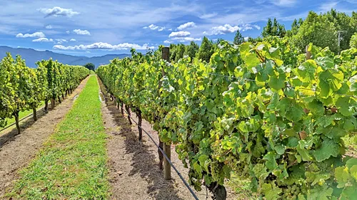 Allan Scott Family Winemakers HQ in New Zealand