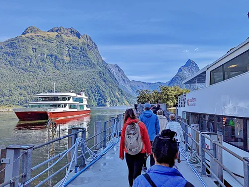 Milford Sound Cruise in New Zealand