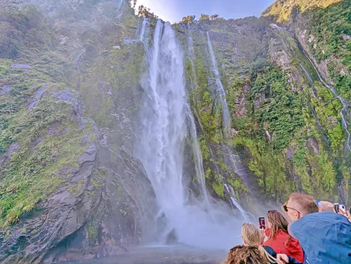 Milford Sound Cruise in New Zealand