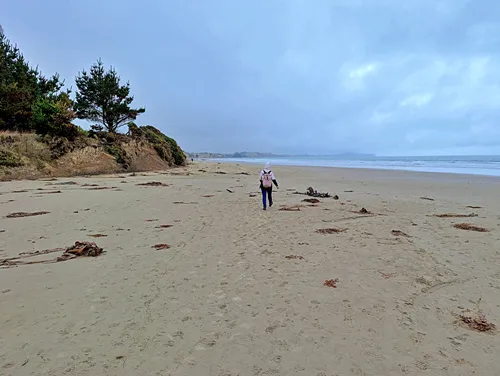 Moeraki Boulders in New Zealand