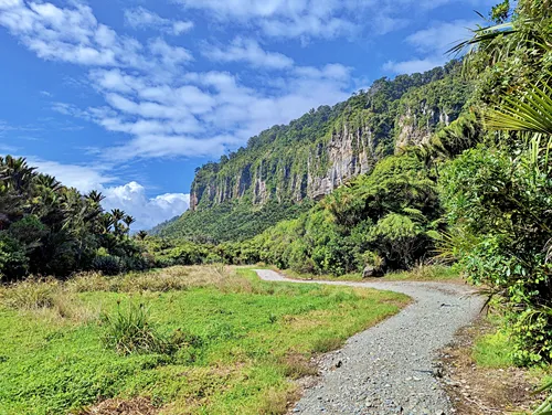 Pororari River Track in New Zealand