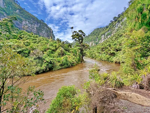 Pororari River Track in New Zealand