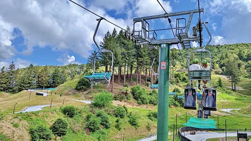 Rotorua Skyline Gondola and Luge in New Zealand