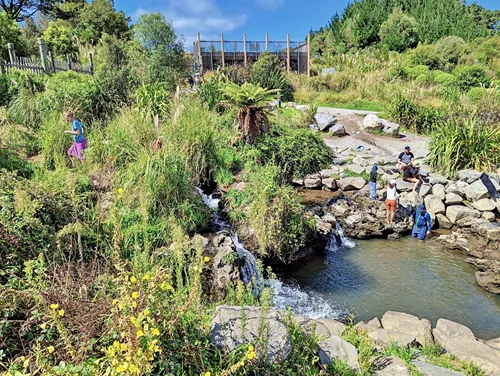 Otumuheke Stream in New Zealand