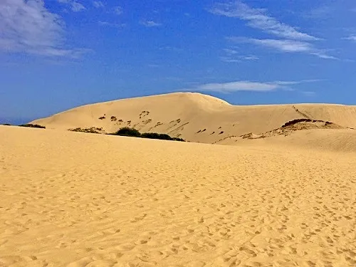 Te Paki Sand Dunes in New Zealand