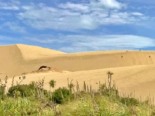 Te Paki Sand Dunes in New Zealand