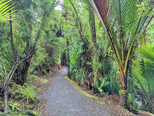 Truman Track in New Zealand