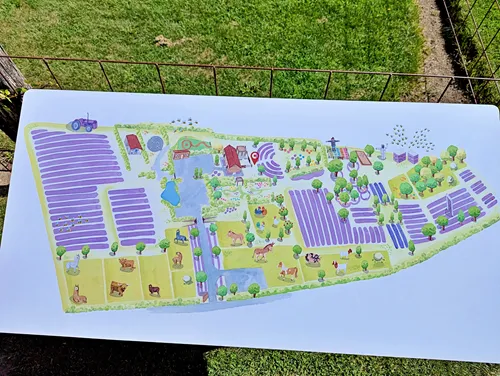 map of Wanaka Lavender Farm in New Zealand