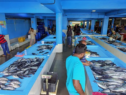 Fish Market in Male in the Maldives