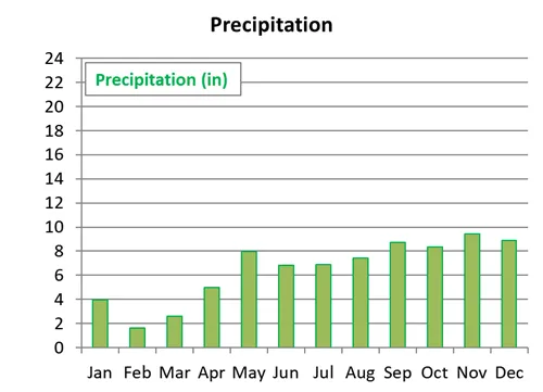 Average monthly precipitation in the Maldives